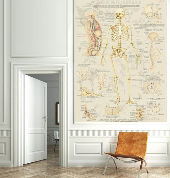 Biology inspired wallpaper